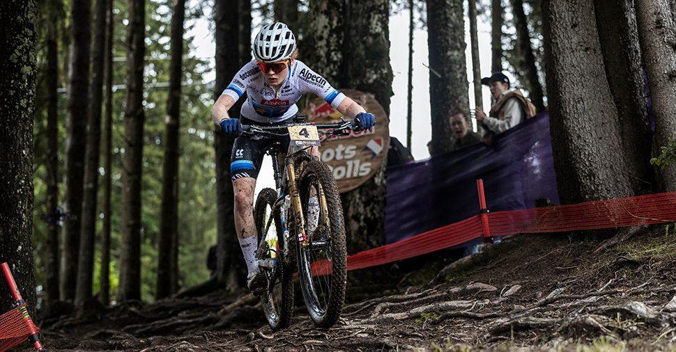 Mednarodne dirkaške