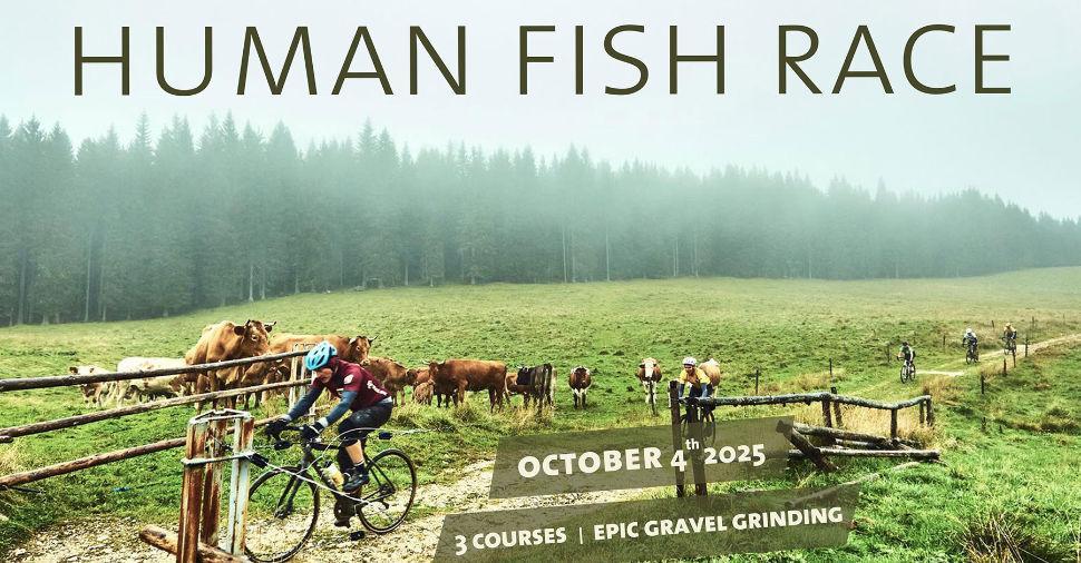human fish race
