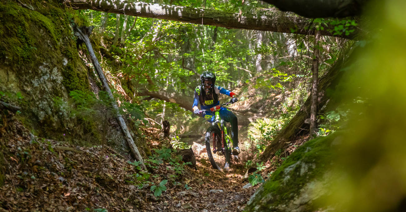 vid peršak, sloenduro krokar